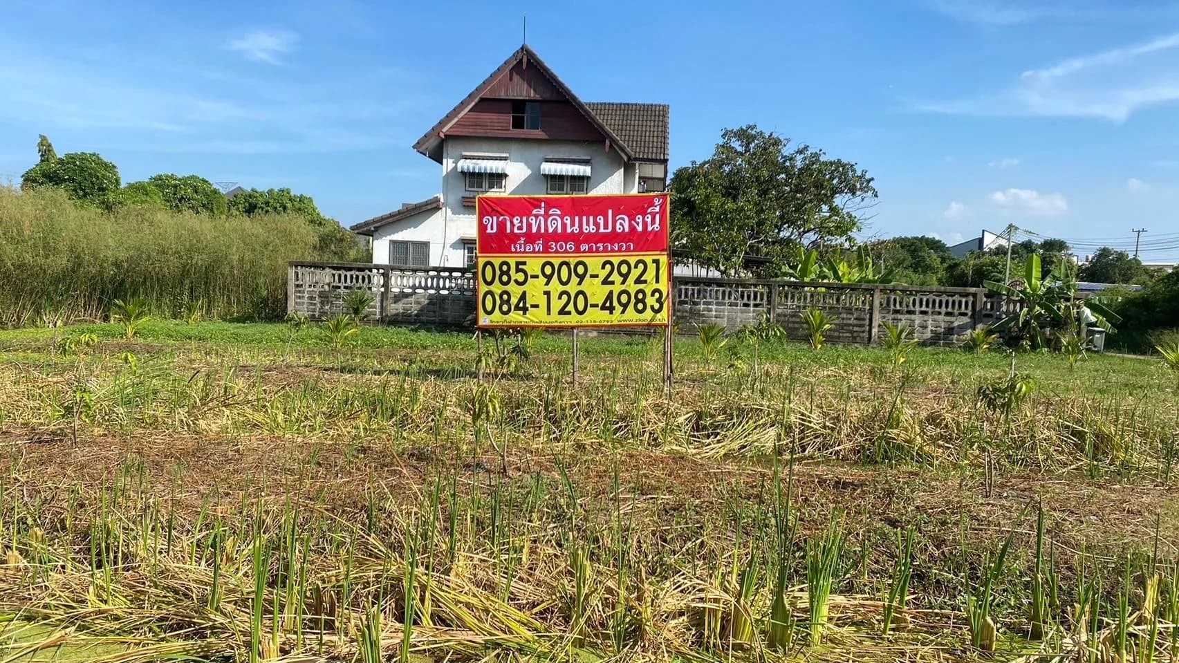 ขายด่วน ที่ดิน 306 ตารางวา ทำเลทอง บางแก้ว บางพลี ตรงข้าม Mega Bangna เหลือไม่กี่แปลงสุดท้ายในย่านนี้ ZTK343 - image 2