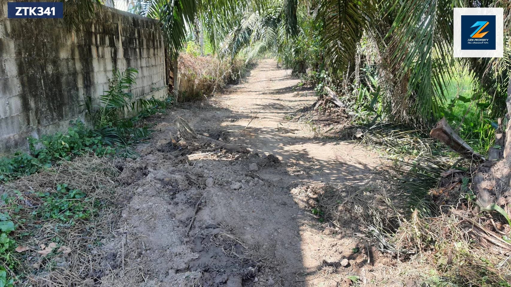 ✨ ขายด่วนที่ดินสวยพนัสนิคม 12 ไร่ 3 งาน ผืนใหญ่ ติดถนนทางหลวง 3284 โซนหมอนนาง พนัสนิคม ชลบุรี ศักยภาพสูง เหมาะพัฒนาธุรกิจหลากหลาย - image 3