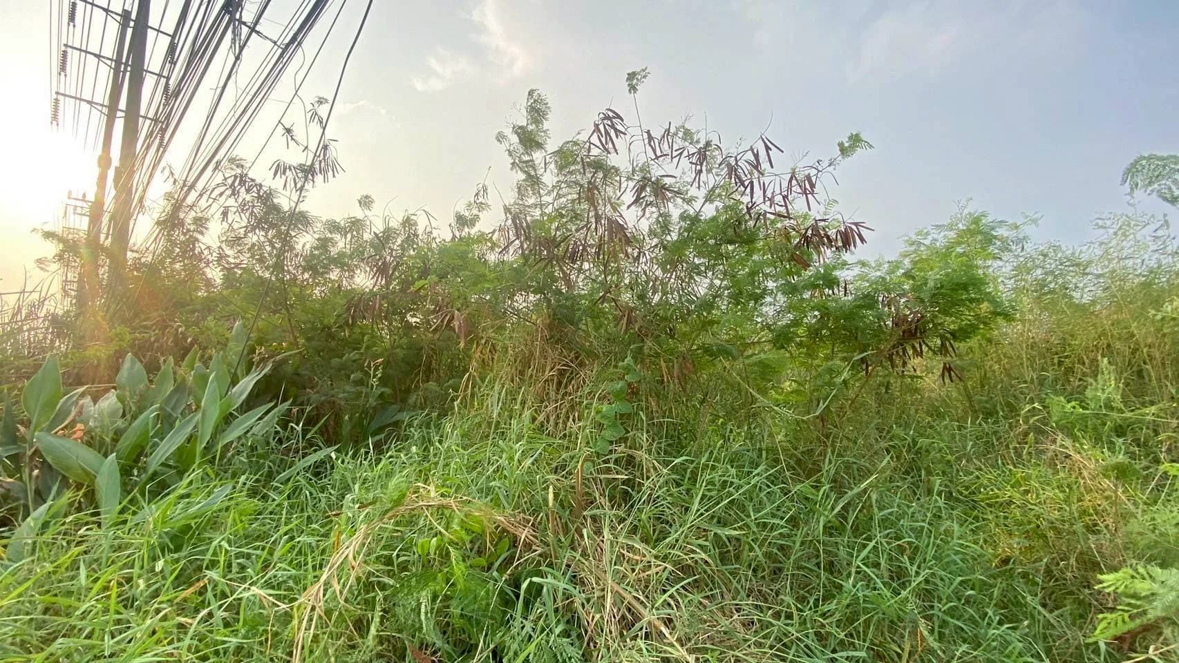 ขายที่ดินศักยภาพสูง 21-0-39.8 ไร่ หนองจอก ติดถนนสุวินทวงศ์ เดินทางสะดวก เชื่อมสู่ถนนเสรีไทย รามคำแหง และทางด่วนมอเตอร์เวย์ - image 4