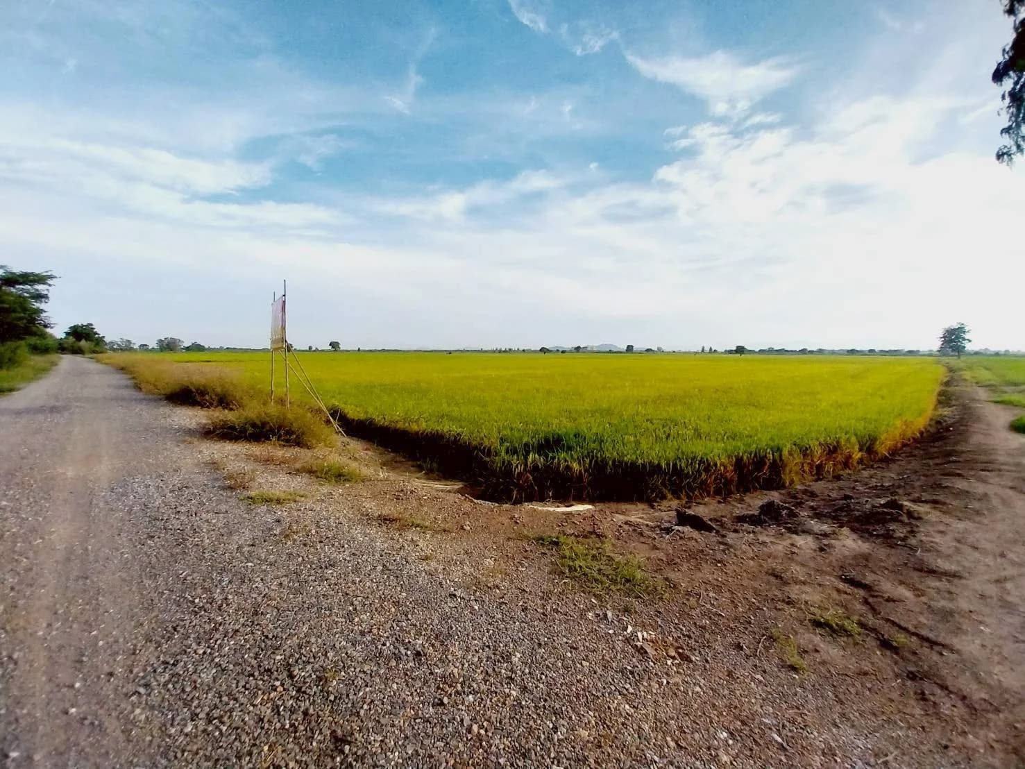 ขายที่ดินสวย 27-1-20 ไร่ ชานเมืองนครสวรรค์ เหมาะสร้างอยู่อาศัย ทำเกษตร จัดสรร บางพระหลวง เมืองนครสวรรค์ - image 3