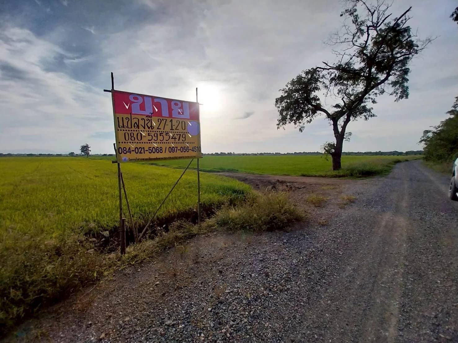 ขายที่ดินสวย 27-1-20 ไร่ ชานเมืองนครสวรรค์ เหมาะสร้างอยู่อาศัย ทำเกษตร จัดสรร บางพระหลวง เมืองนครสวรรค์ - image 4