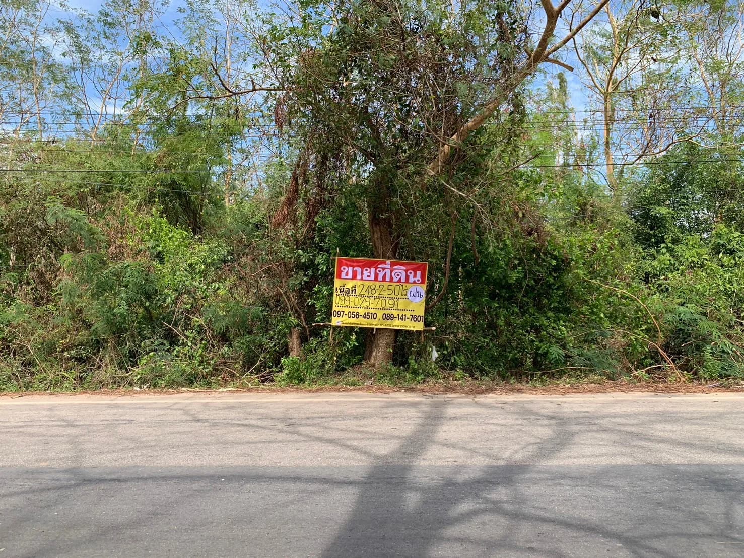 ขายที่ดิน 248-2-50 ไร่ (ไร่ละ 3 ล้าน) หลังโกลบอลเฮ้าส์ ถนนสุวรรณศร กบินทร์บุรี จ.ปราจีนบุรี ZB099 - image 1