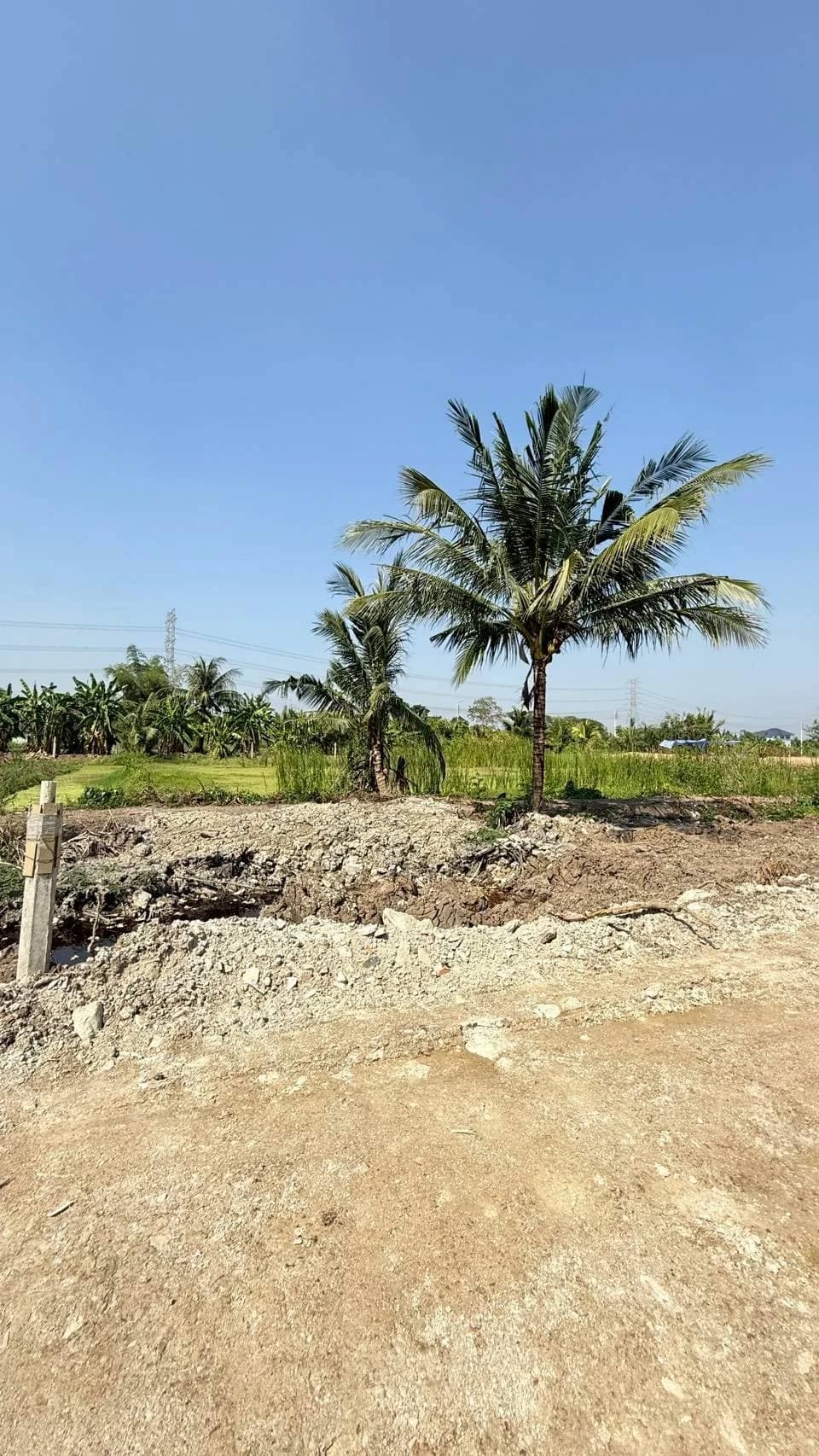 ขายด่วนที่ดิน 200 ตร.วา บึงขวาง3 แยก18 ใกล้โรงเรียนเตรียมอุดมศึกษาพัฒนาการสุวรรณภูมิ มีนบุรี ZT905