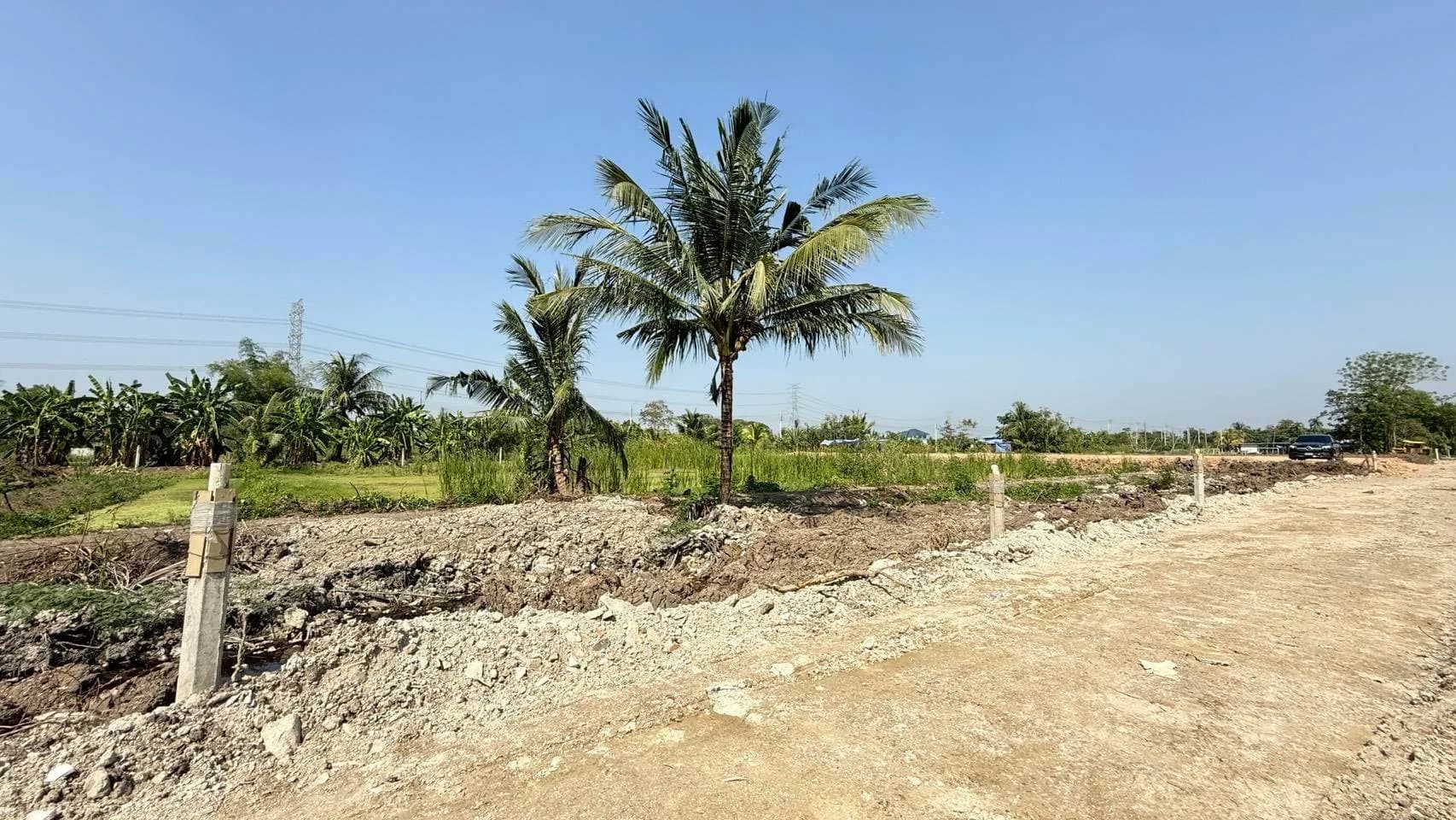 ขายด่วนที่ดิน 200 ตร.วา บึงขวาง3 แยก18 ใกล้โรงเรียนเตรียมอุดมศึกษาพัฒนาการสุวรรณภูมิ มีนบุรี ZT905 - image 2