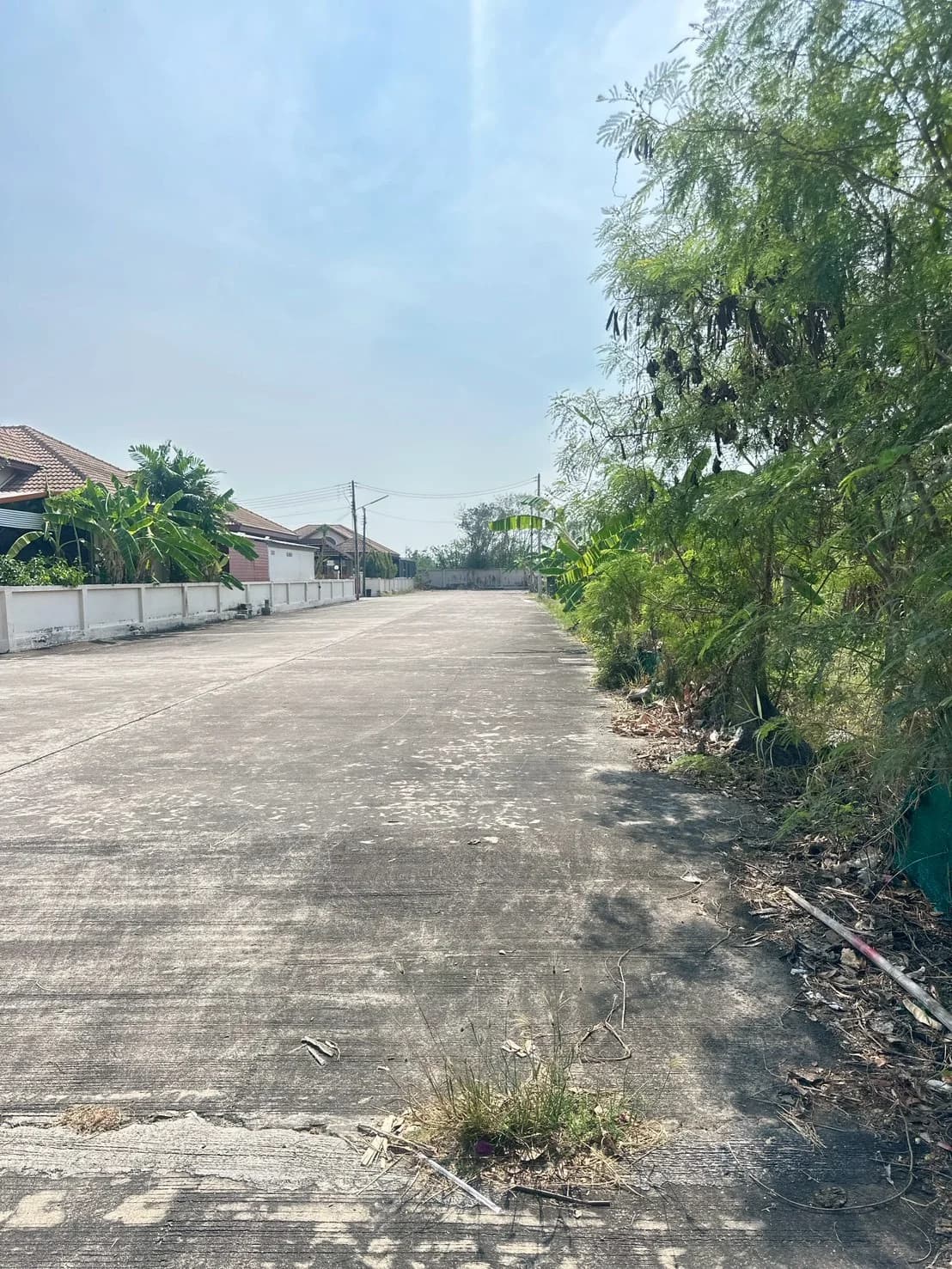 ขายที่ดิน 200 ตารางวา หมู่บ้านพฤกษาแลนด์ บ้านบึง ชลบุรี ใกล้เทศบาลตำบลหนองชากเพียง ZT891 - image 4