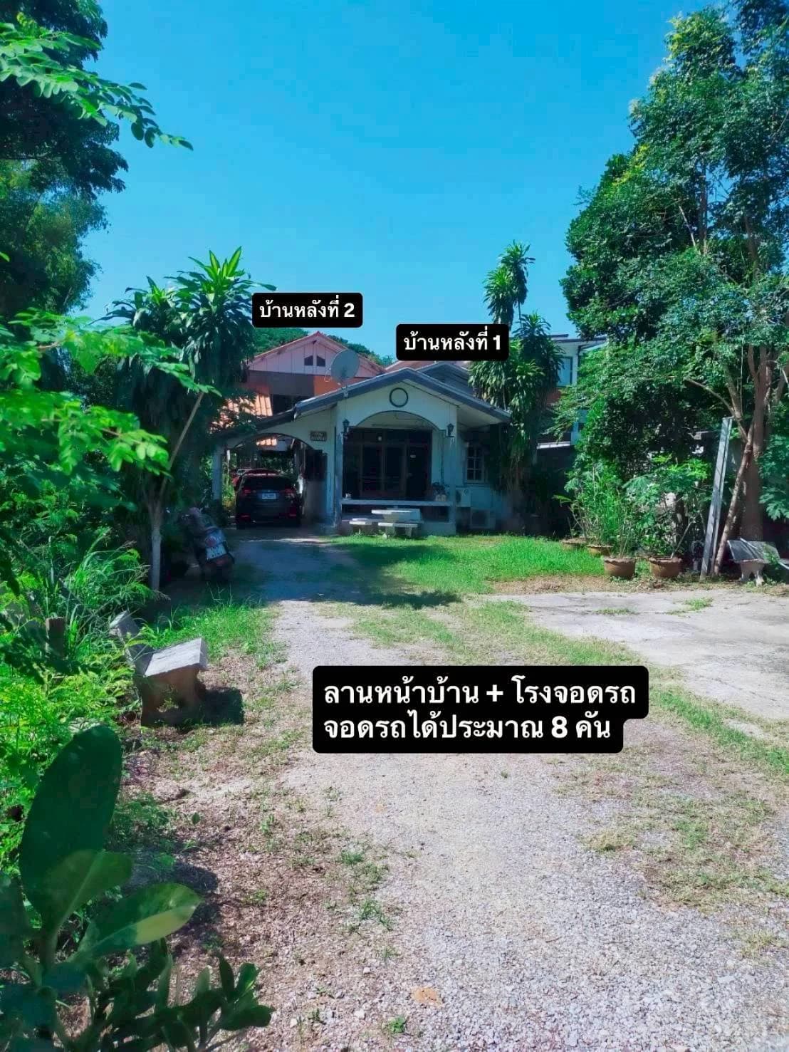 ขายที่ดิน พร้อมสิ่งปลูกสร้าง เนื้อที่ 154 ตารางวา เมืองชัยภูมิ ติดถนน 2 เลน (นิเวศรัตน์-ปรางค์) ห่างจากโบราณสถานปรางค์กู่ 200เมตร ZJ189 - image 3