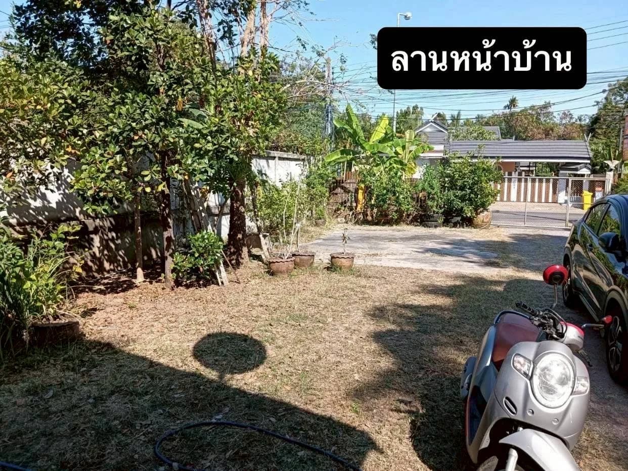 ขายที่ดิน พร้อมสิ่งปลูกสร้าง เนื้อที่ 154 ตารางวา เมืองชัยภูมิ ติดถนน 2 เลน (นิเวศรัตน์-ปรางค์) ห่างจากโบราณสถานปรางค์กู่ 200เมตร ZJ189 - image 4