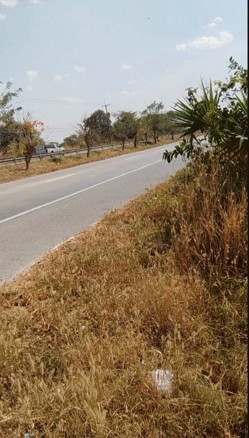 ให้เช่าที่ดินสวย 3-0-12 ไร่ ติดถนนมิตรภาพ ขาเข้าขอนแก่น หนองหว้า บัวลาย นครราชสีมา ZE612 - image 4