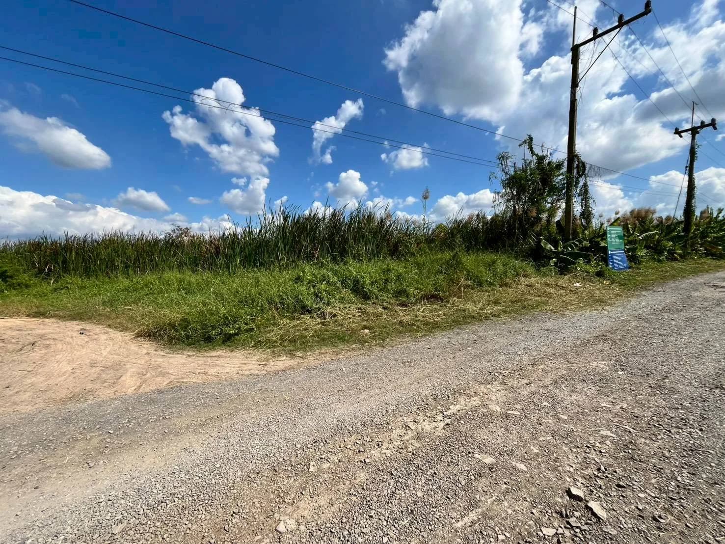 ขายที่ดินถมแล้ว 228 ตร.วา. วังน้อย อยุธยา ทำเลดีใกล้ถนนพหลโยธินขาเข้ากรุงเทพ ZE604 - image 4