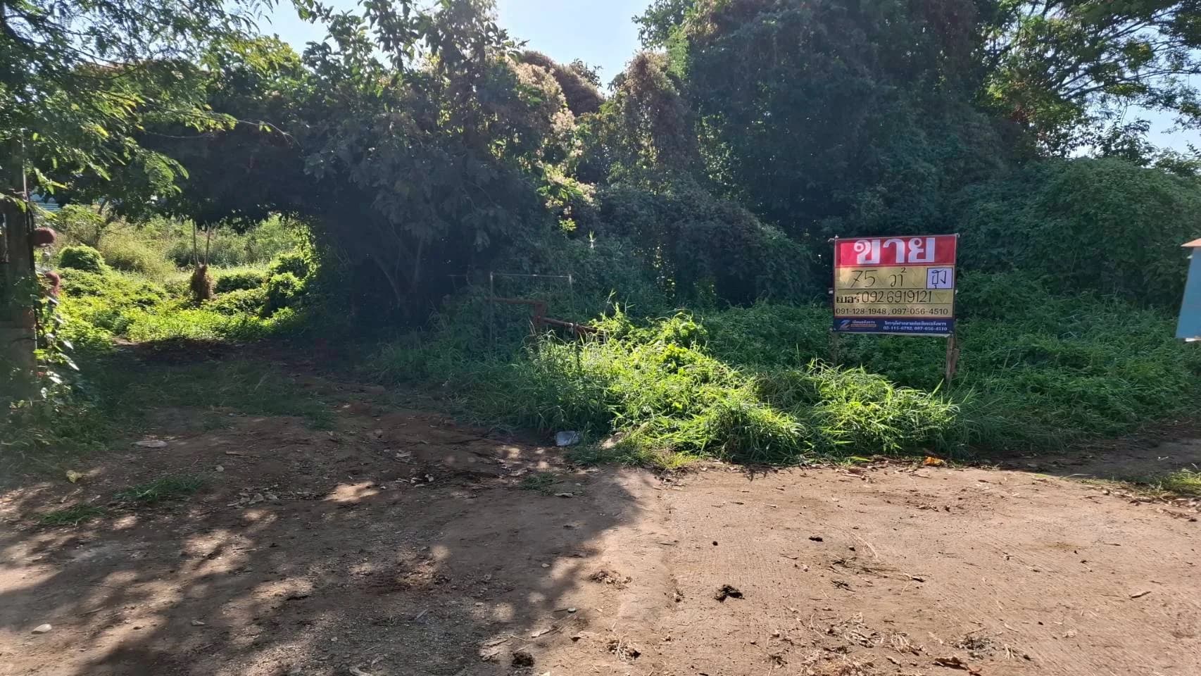 ขายที่ดิน 75 ตร.วา. ซอยมโนรม3 เมืองเก่า เมืองขอนแก่น ZE602 - image 2