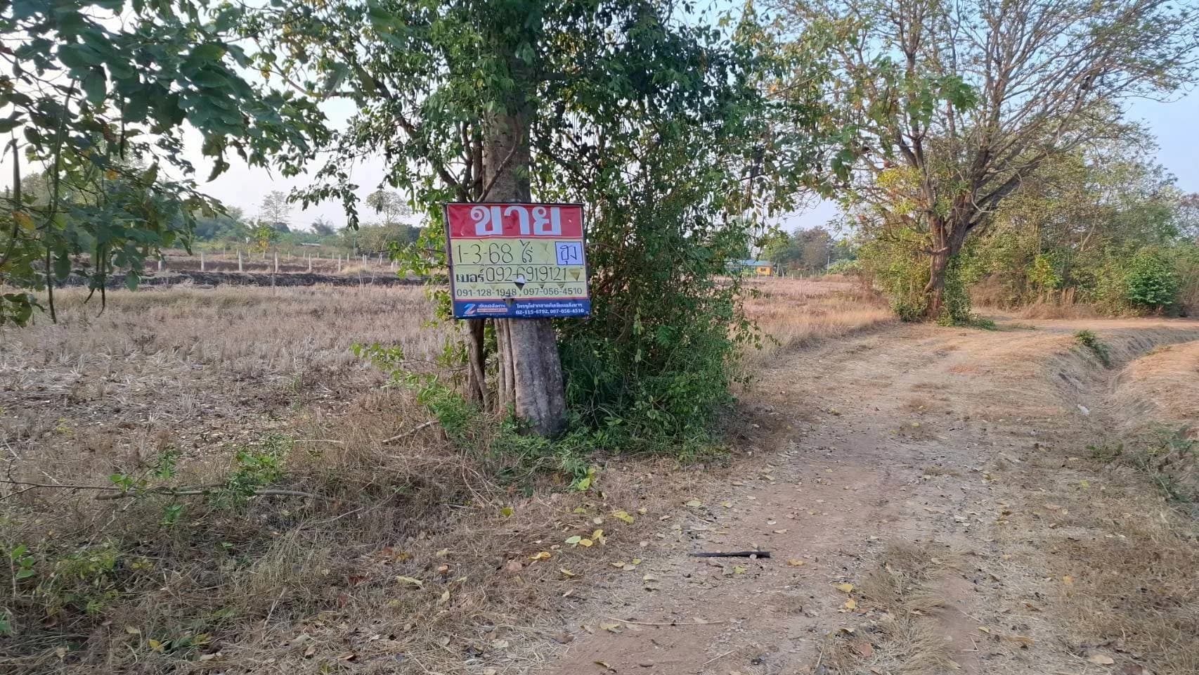 ขายที่ดิน 1-3-68 ไร่ หนองบัว โกสุมพิสัย มหาสารคราม ZE601