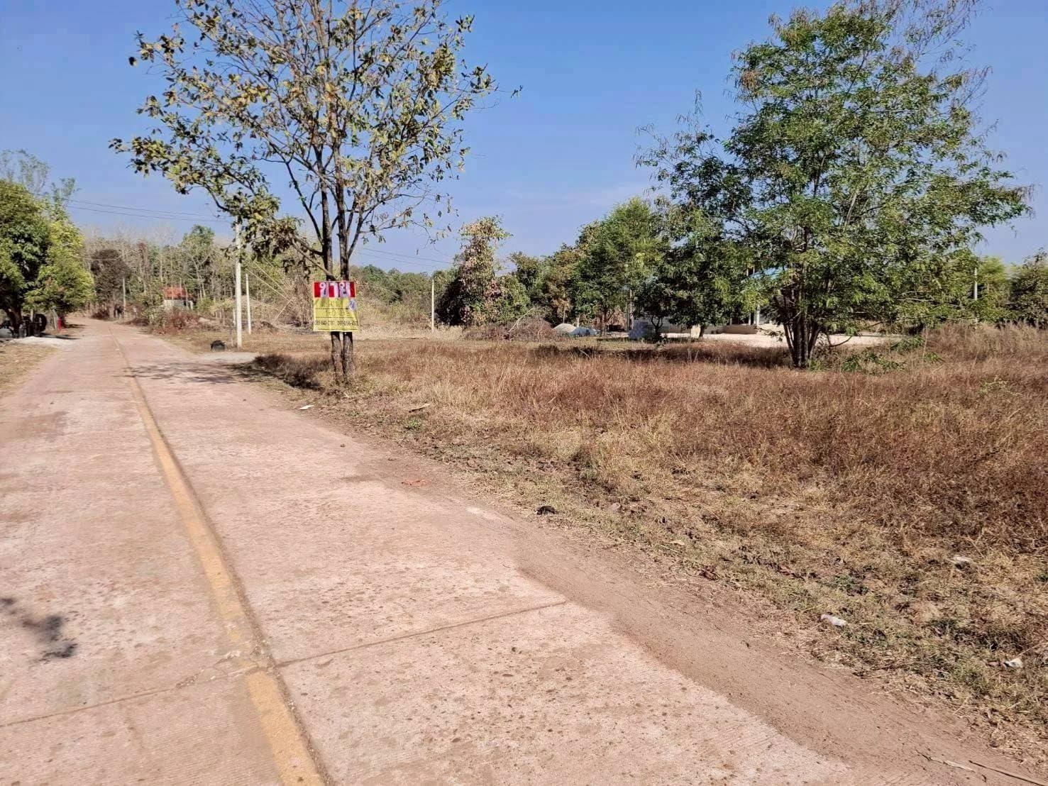 ขายที่ดินติดถนน 1-0-03 ไร่ ซอยวัดป่าเทพวังทอง จุมพล โพนพิสัย หนองคาย ZP207 - image 3