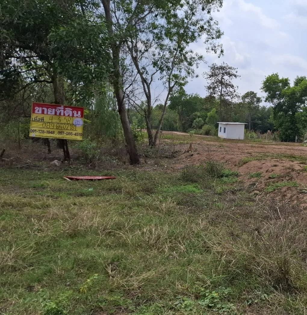 ขายที่ดิน 4-3-54 ไร่ ใกล้วิทยาลัยเกษตรและเทคโนโลยีอุดรธานี กุดสระ เมืองอุดรธานี ZP169 - image 3