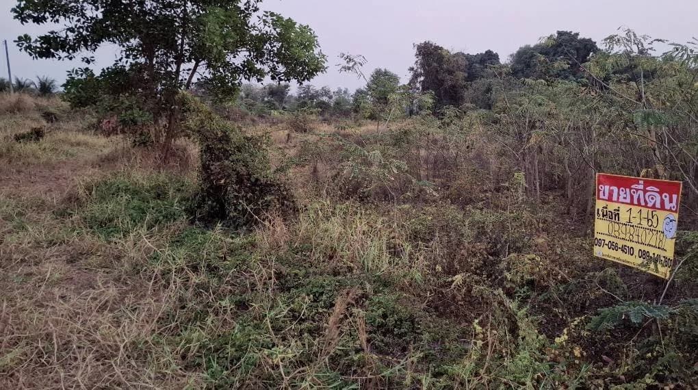 ขายที่ดิน 1-1-65 ไร่ ซ.บุญมีอุทิศ ใกล้โรงเรียนอนุบาลศรีเชียงใหม่ หนองคาย ZP168