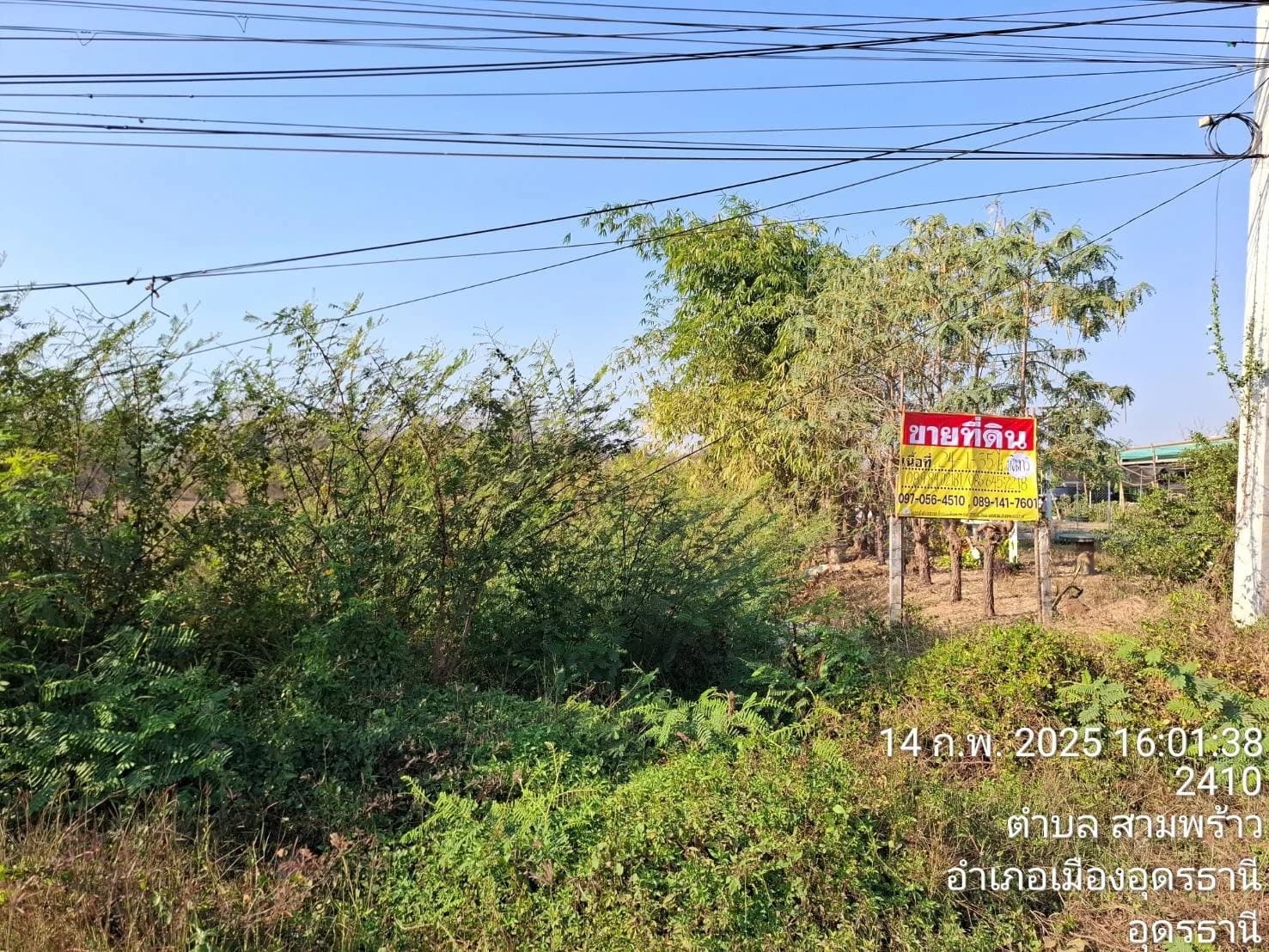 ขายที่ดินติดถนน 24 - 1- 35 ไร่ ใกล้ปั๊ม PT สามพร้าว จ.อุดรธานี ZP164 - image 1