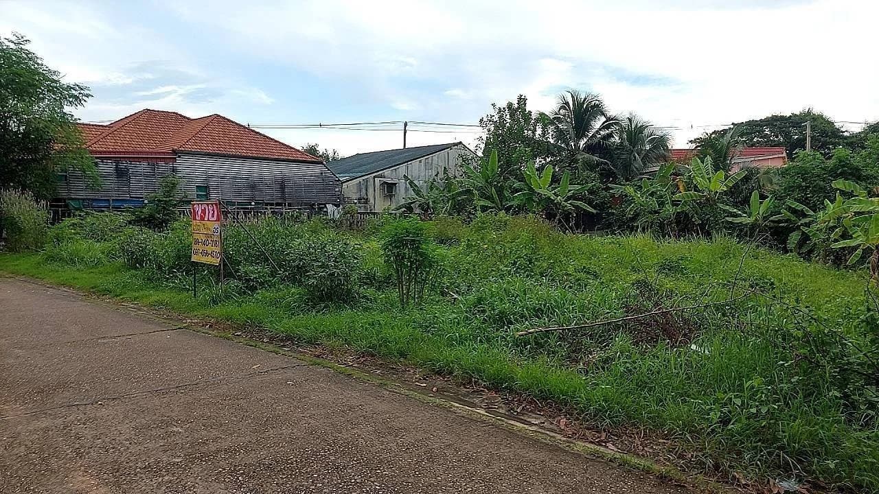 ขายที่ดินสวย 200 ตารางวา หลังอนามัยนาโพธิ์ เมืองหนองคาย ZP136 - image 4