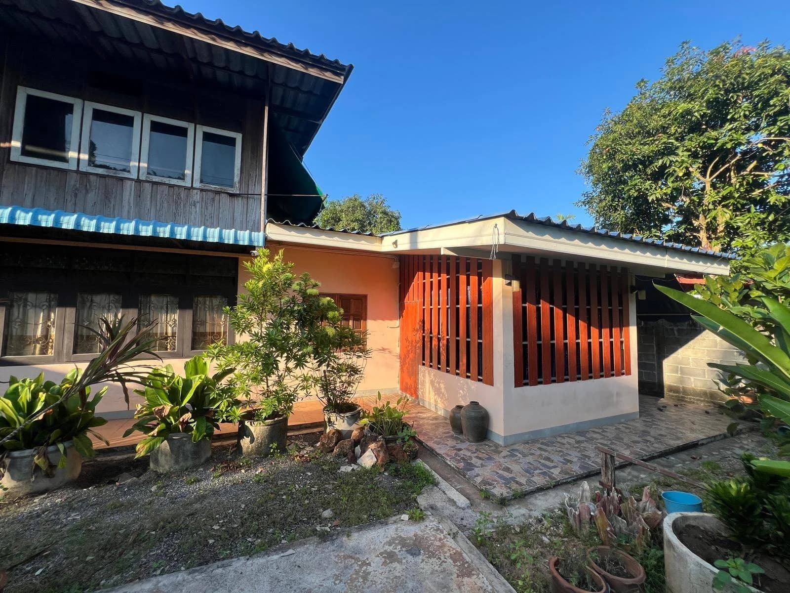 ขายที่ดินและบ้านเช่าพร้อมผู้เช่า เนื้อที่ 250 วา ซอยถนนประชารัฐ บางกุ้ง เมืองสุราษฎร์ธานี ZST216 - image 2