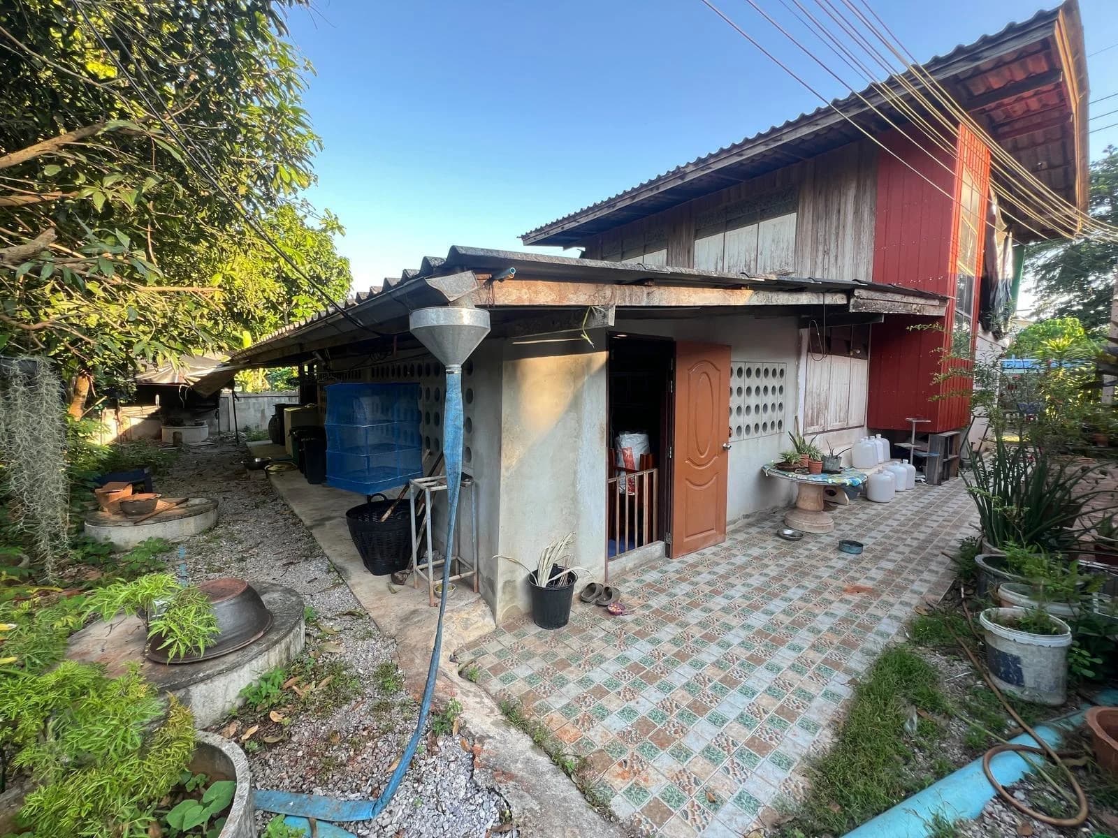 ขายที่ดินและบ้านเช่าพร้อมผู้เช่า เนื้อที่ 250 วา ซอยถนนประชารัฐ บางกุ้ง เมืองสุราษฎร์ธานี ZST216 - image 3