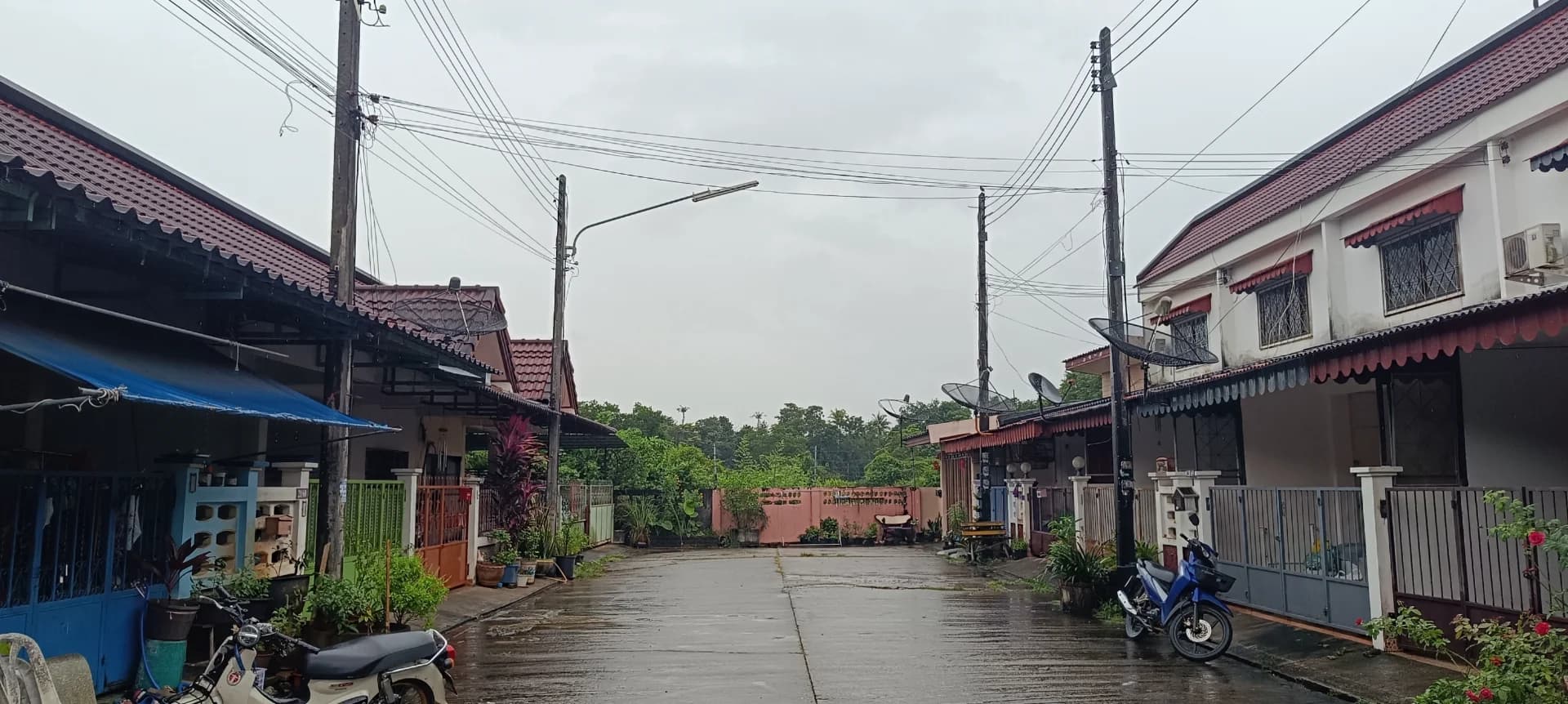 ขายทาวน์เฮ้าส์ ชั้นเดียว 24 ตรว. หมู่บ้านปอนด์ทอง ถนนจริงจิตร ตรัง ZST211 - image 2