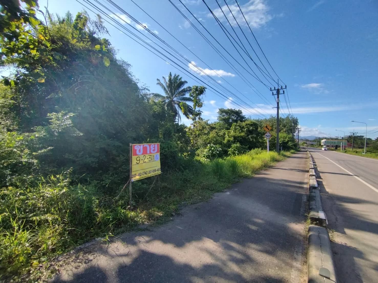 ขายที่ดินติดถนน 9-2-31 ไร่ ใกล้เขื่อนรัชชประภา อ.บ้านตาขุน สุราษฎร์ธานี ZST209 - image 3