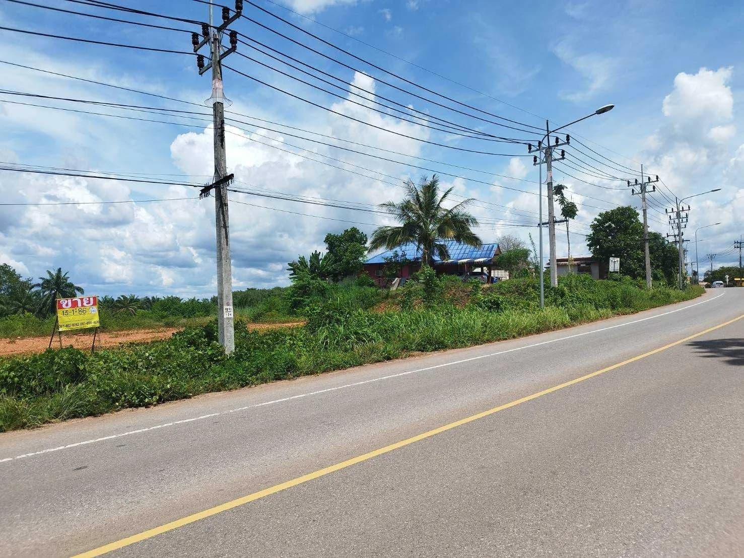 ขายที่ดินถมแล้ว 13-3-86 ไร่ ติดถนน วิวเขา ใกล้เขื่อนรัชชประภา อ.บ้านตาขุน สุราษฎร์ธานี ZST208 - image 4