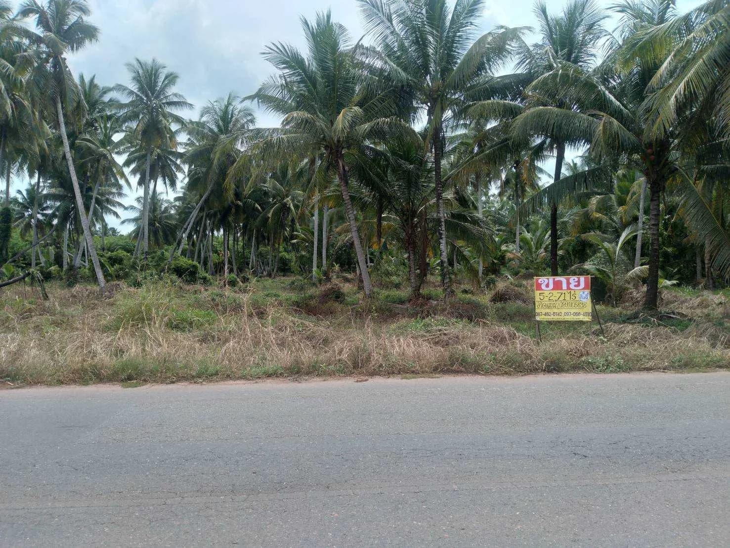 ขายที่ดินเกาะลำพู 5-2-71 ไร่ ติดแม่น้ำตาปี บางใบไม้ เมืองสุราษฎร์ธานี ZST206 - image 1