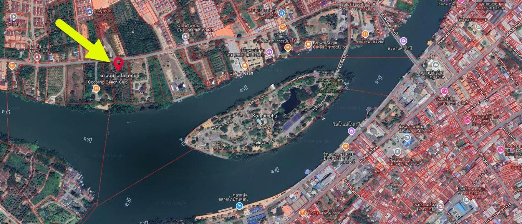 ขายที่ดินเกาะลำพู 5-2-71 ไร่ ติดแม่น้ำตาปี บางใบไม้ เมืองสุราษฎร์ธานี ZST206 - image 4