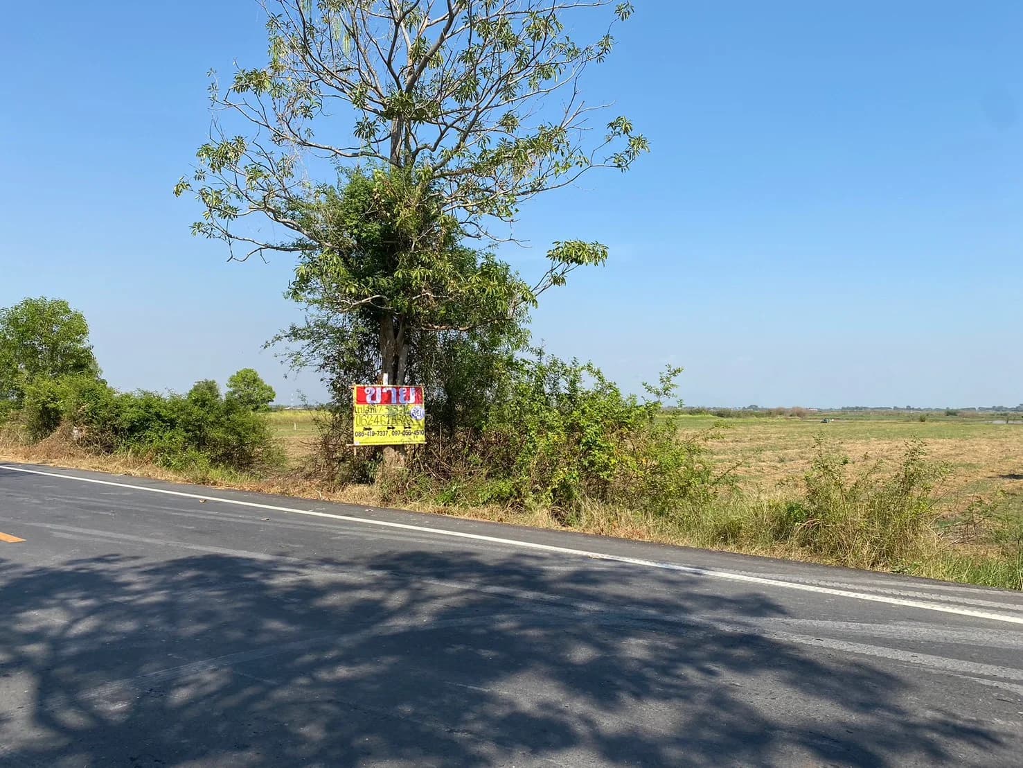 ขายที่ดิน7-3-31 ไร่ คลอง15 หน้าติดถนน หลังติดคลองบางบัวใหญ่ บางปลากด องครักษ์ นครนายก ZY250