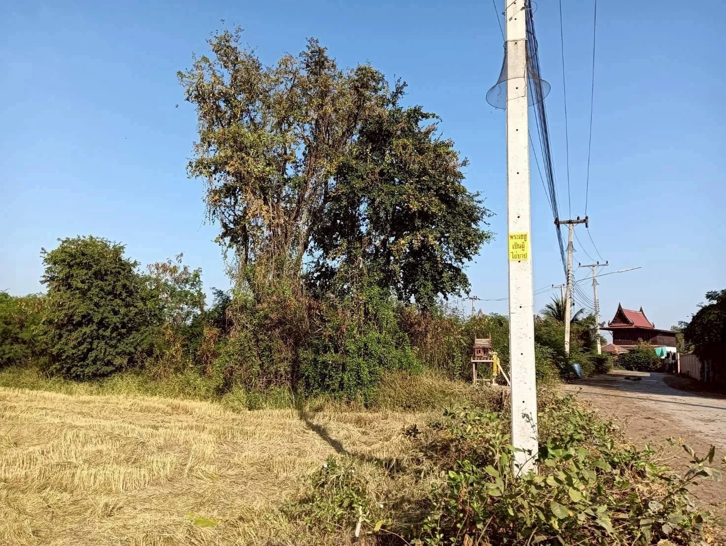 ขายที่ดิน 7 ไร่ อยู่ในซอยตรงข้ามวัดแคทราย ใกล้ถนนเพชรเกษม สี่แยกห้วยชินสีห์ เมืองราชบุรี ZW648 - image 4