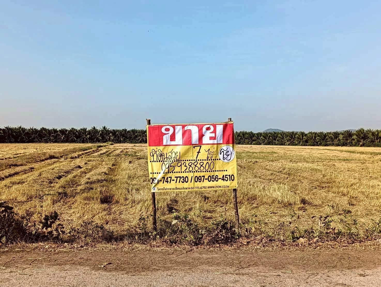 ขายที่ดิน 7 ไร่ อยู่ในซอยตรงข้ามวัดแคทราย ใกล้ถนนเพชรเกษม สี่แยกห้วยชินสีห์ เมืองราชบุรี ZW648