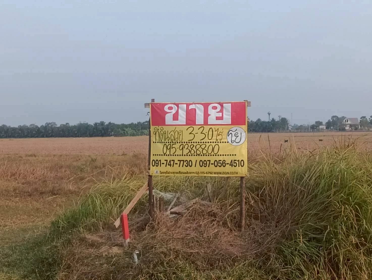 ขายที่ดิน 3-3-0 ไร่ ทำเลดี ทำเลทองคำ สี่แยกห้วยชินสีห์ คูบัว เมืองราชบุรี ZW647