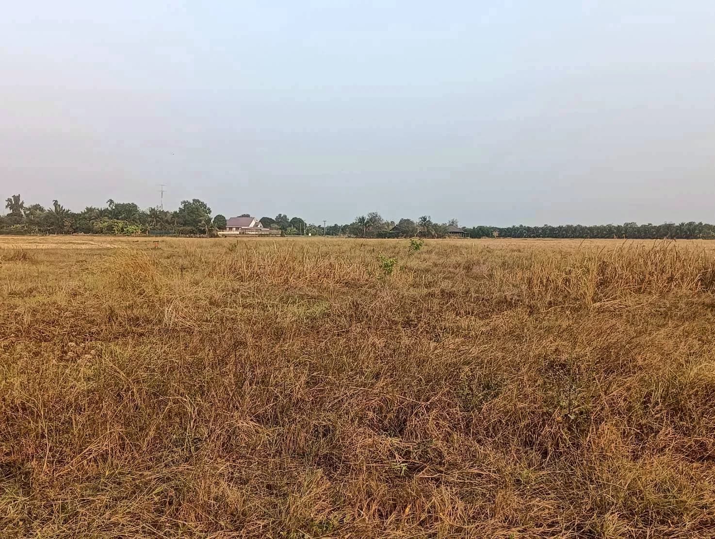 ขายที่ดิน 3-3-0 ไร่ ทำเลดี ทำเลทองคำ สี่แยกห้วยชินสีห์ คูบัว เมืองราชบุรี ZW647 - image 2