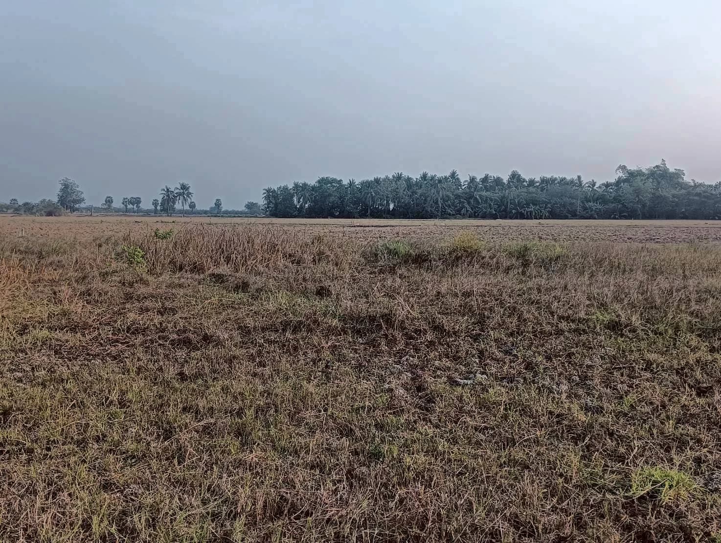 ขายที่ดิน 3-3-0 ไร่ ทำเลดี ทำเลทองคำ สี่แยกห้วยชินสีห์ คูบัว เมืองราชบุรี ZW647 - image 3