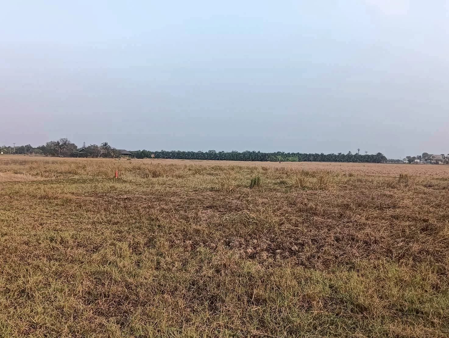 ขายที่ดิน 3-3-0 ไร่ ทำเลดี ทำเลทองคำ สี่แยกห้วยชินสีห์ คูบัว เมืองราชบุรี ZW647 - image 4