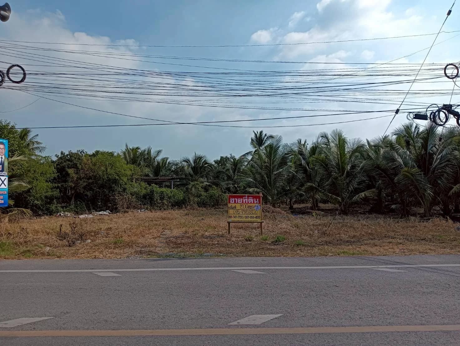 ขายที่ดิน 200 วา ทำเลดี ติดถนน ธรรมชาติ บ้านแพ้ว นางตะเคียน เมืองสมุทรสงคราม ZW630 - image 1