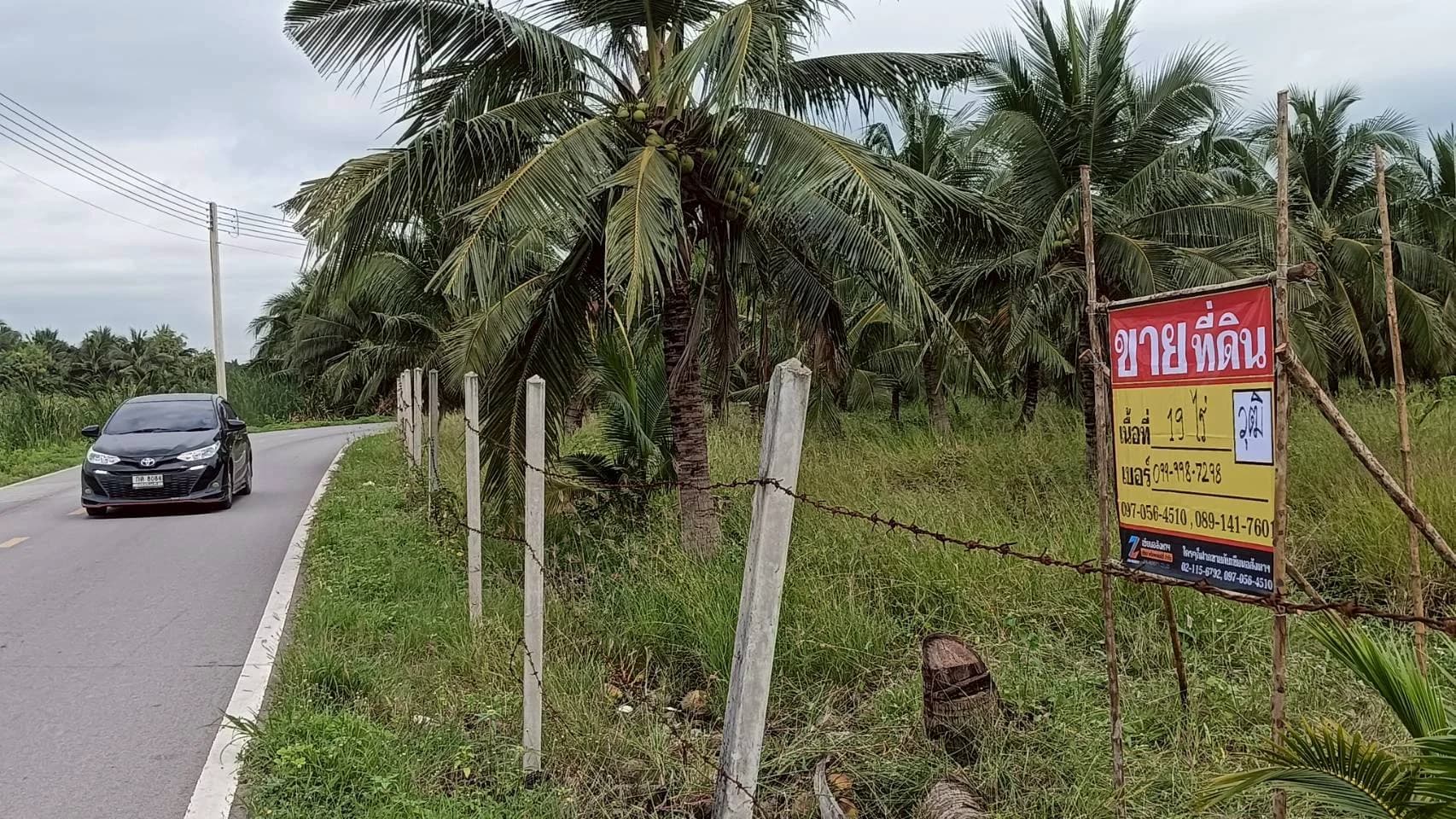 ขายที่ดินสวนมะพร้าว 19 ไร่ ติดคลองและถนนดำ บ้านแพ้ว ซอยทุ่งเศรษฐี สมุทรสาคร - image 1