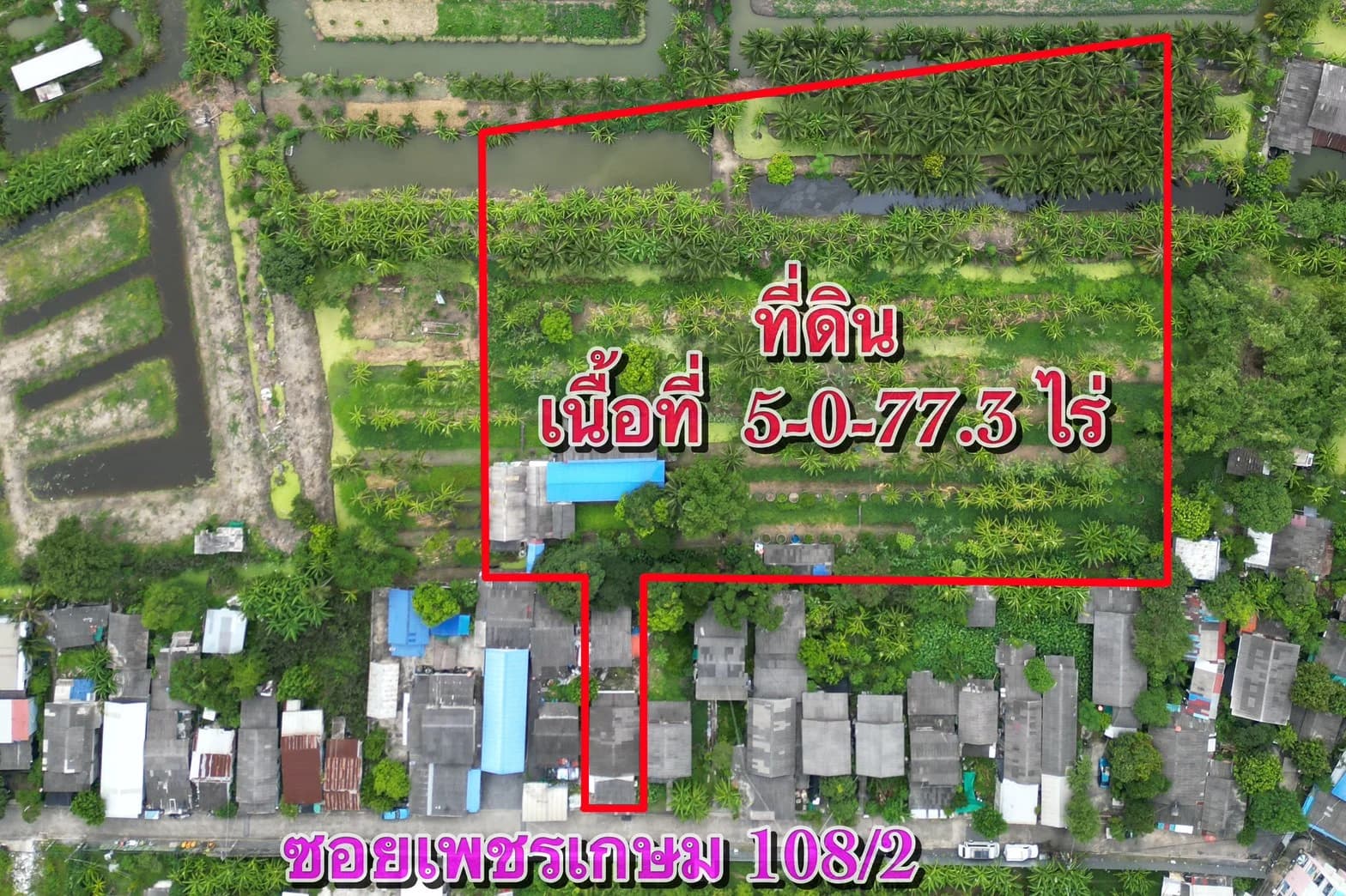 ขายที่ดิน 5 ไร่ 77.3 ตร.วา ซอยเพชรเกษม 108/2 หนองแขม กรุงเทพ