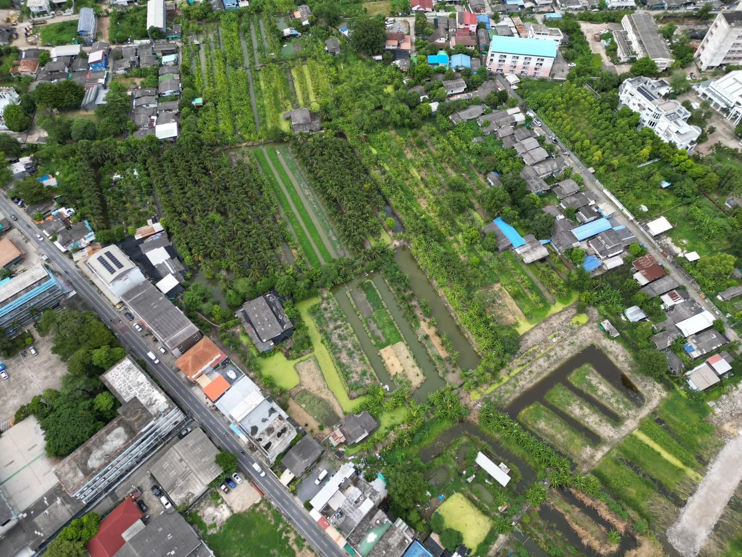 ขายที่ดิน 5 ไร่ 77.3 ตร.วา ซอยเพชรเกษม 108/2 หนองแขม กรุงเทพ - image 2