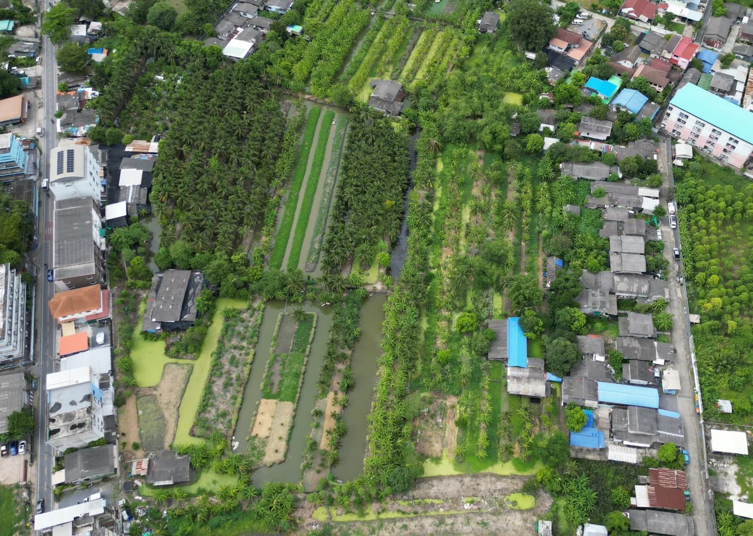 ขายที่ดิน 5 ไร่ 77.3 ตร.วา ซอยเพชรเกษม 108/2 หนองแขม กรุงเทพ - image 3