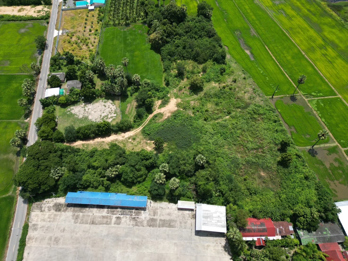 ขายที่ดิน เขาย้อยเพชรบุรี เนื้อที่ 8 ไร่ 62 ตร.วา ถนนสุวรรณดำริ บางเค็ม เพชรบุรี - image 3