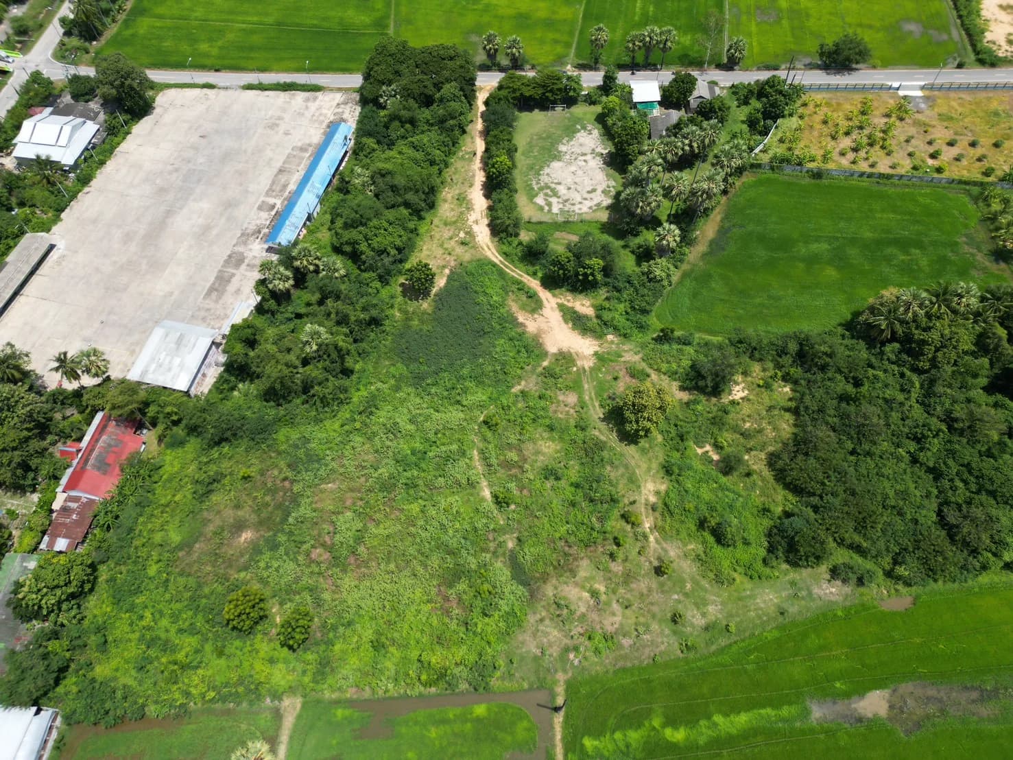 ขายที่ดิน เขาย้อยเพชรบุรี เนื้อที่ 8 ไร่ 62 ตร.วา ถนนสุวรรณดำริ บางเค็ม เพชรบุรี - image 4