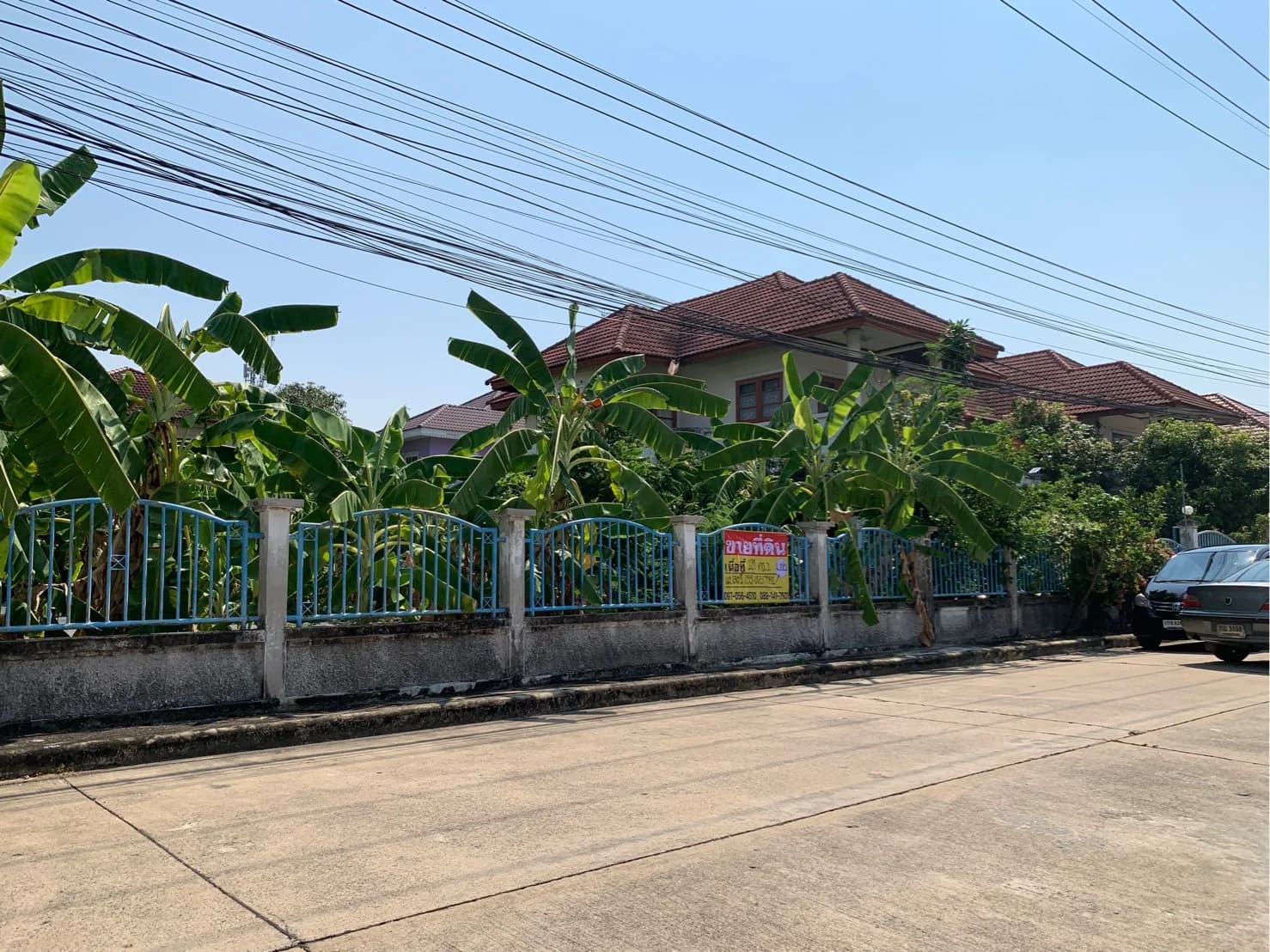 ขายที่ดินเปล่า ถมแล้ว 101 ตรว. โครงการหมู่บ้านซื่อตรง ดอนเมือง ใกล้ BTS คูคต เหมาะสร้างบ้าน บรรยากาศดี เงียบสงบ - image 4