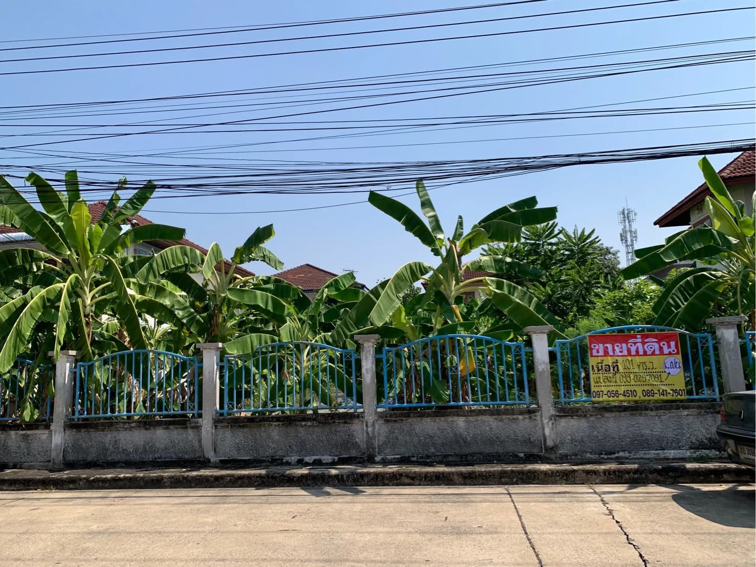 ขายที่ดินเปล่า ถมแล้ว 101 ตรว. โครงการหมู่บ้านซื่อตรง ดอนเมือง ใกล้ BTS คูคต เหมาะสร้างบ้าน บรรยากาศดี เงียบสงบ - image 1