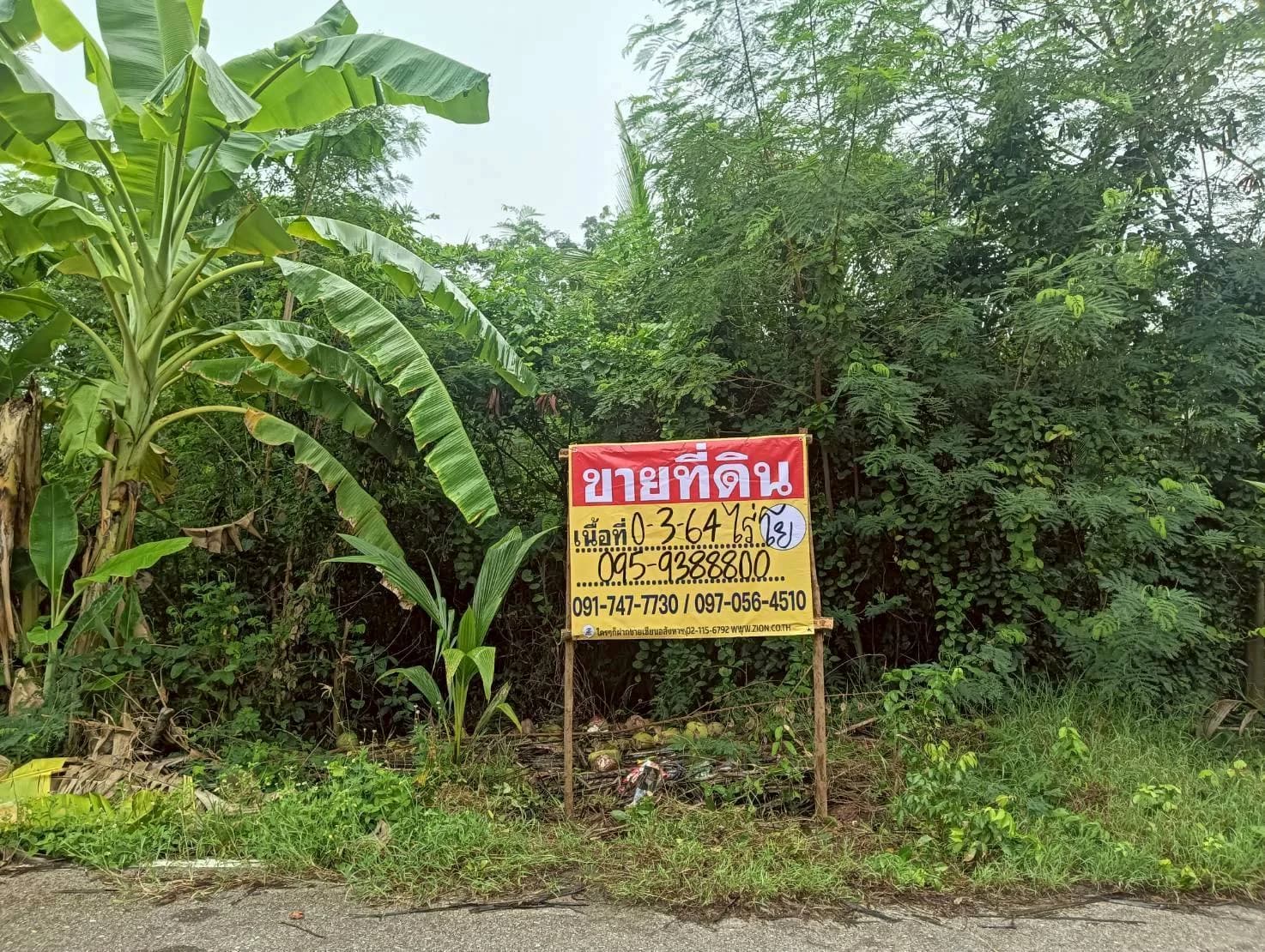 ขายที่ดิน 364 ตร.ว. ทำเลสวย ธรรมชาติ รมรื่น ปลายโพงพาง อัมพวา สมุทรสงคราม ใกล้เส้นถนนพระราม2 ZW615 - image 1