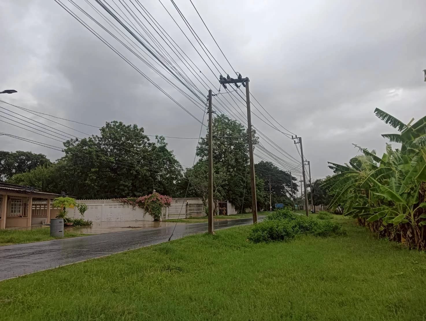 ขายที่ดินสวย 9-0-3 ไร่ ทำเลสวย ใกล้แหล่งชุมชน ท่ามะกา กาญจนบุรี ZW599 - image 4