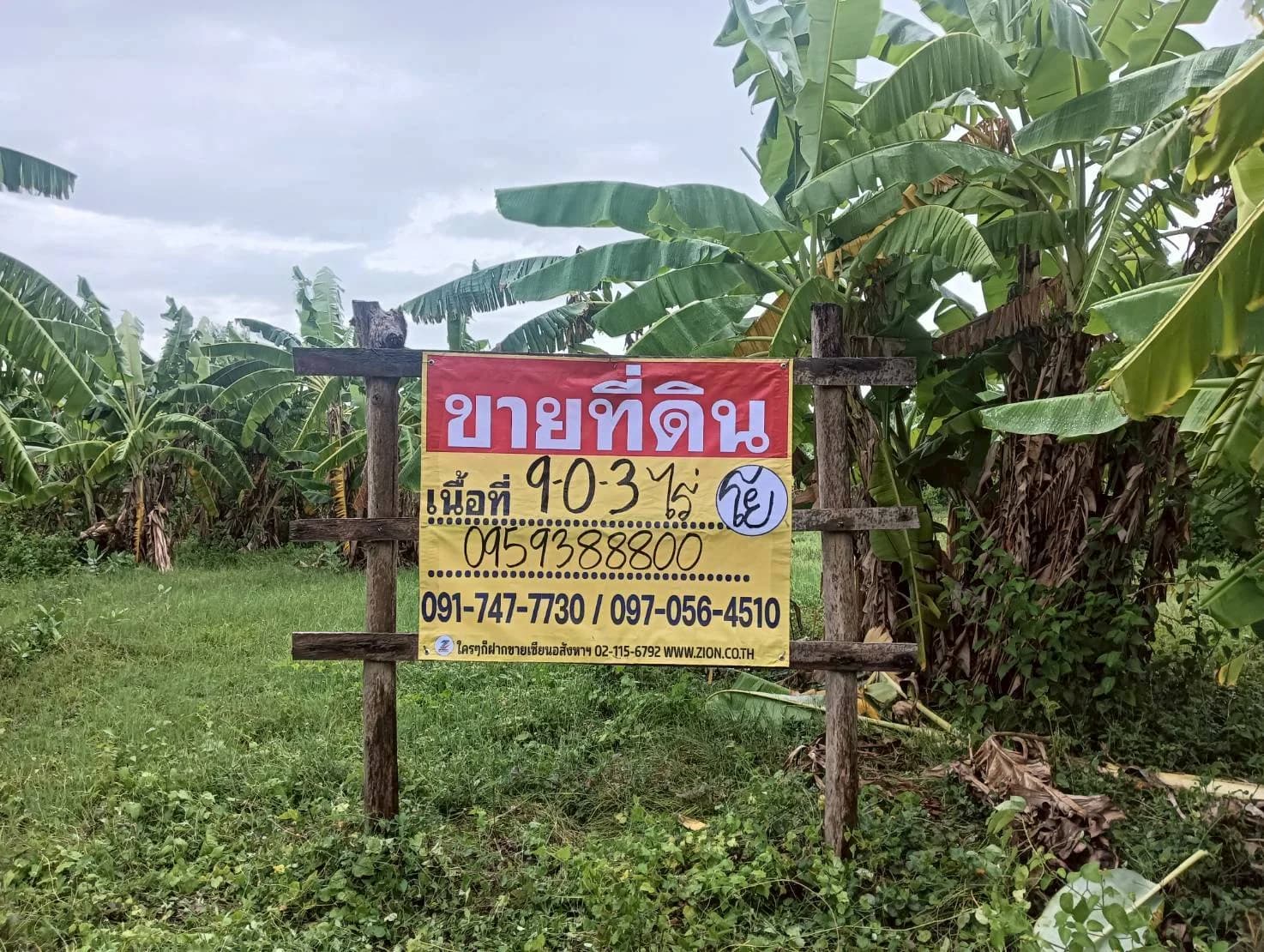 ขายที่ดินสวย 9-0-3 ไร่ ทำเลสวย ใกล้แหล่งชุมชน ท่ามะกา กาญจนบุรี ZW599