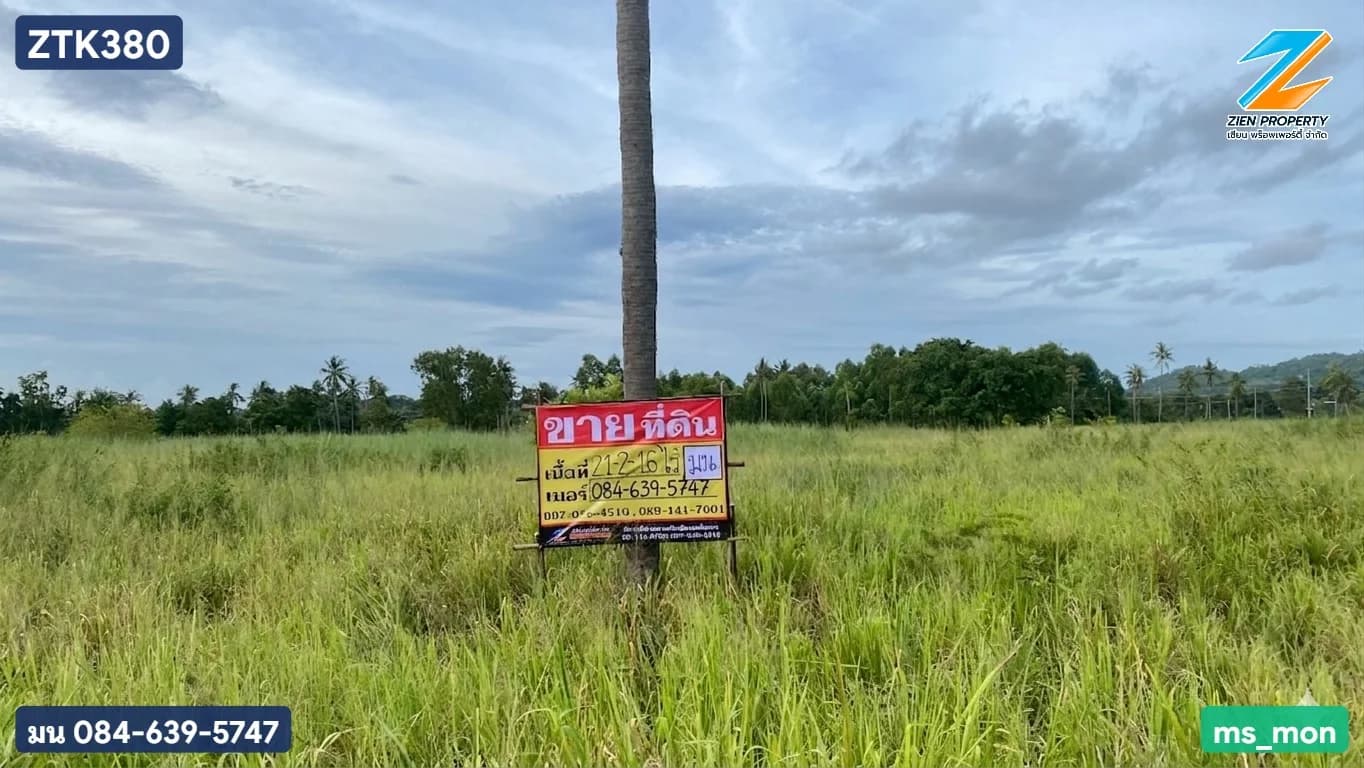 ขายที่ดินผืนใหญ่ 21 - 2 -16 ไร่ ห้วยยายมุก บางละมุง ชลบุรี ใกล้ถนนเส้นหลักกระทิงลาย-ปลวกเกตุ วิ่งเข้ามอเตอร์เวย์ - image 2