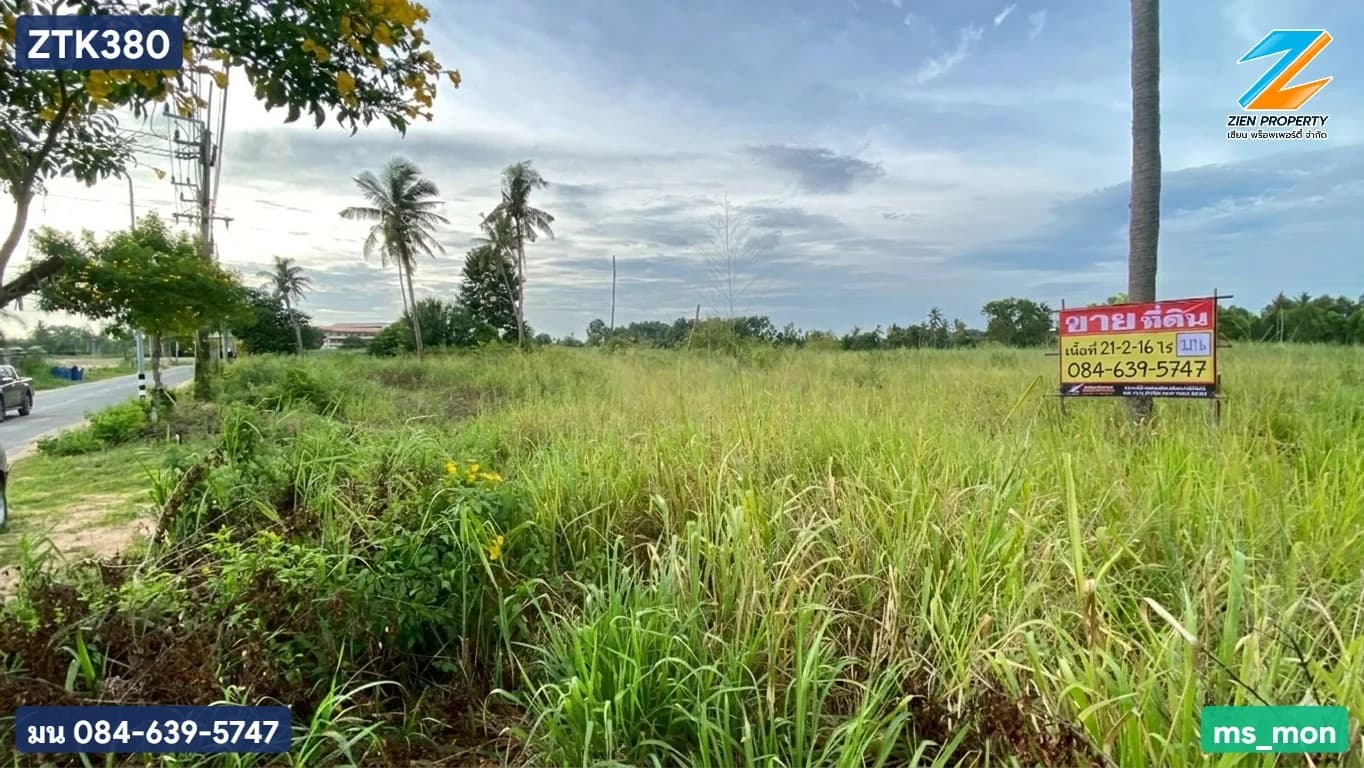 ขายที่ดินผืนใหญ่ 21 - 2 -16 ไร่ ห้วยยายมุก บางละมุง ชลบุรี ใกล้ถนนเส้นหลักกระทิงลาย-ปลวกเกตุ วิ่งเข้ามอเตอร์เวย์ - image 3