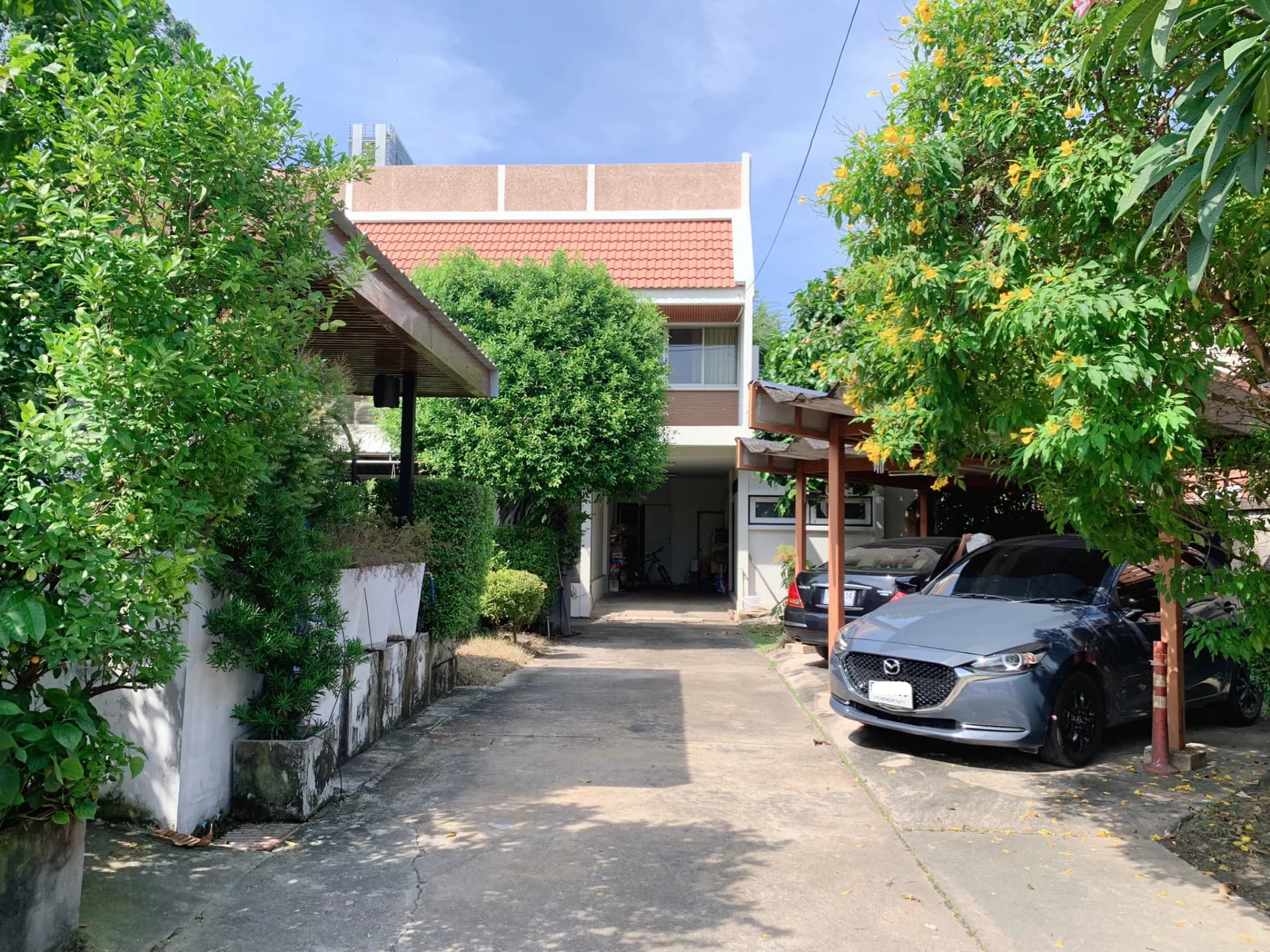 ขายที่ดินพร้อมสิ่งปลูกสร้าง สุขุมวิท81 เนื้อที่ 1-2-48 ไร่ ผังสีแดง ใกล้รถไฟฟ้า - image 4