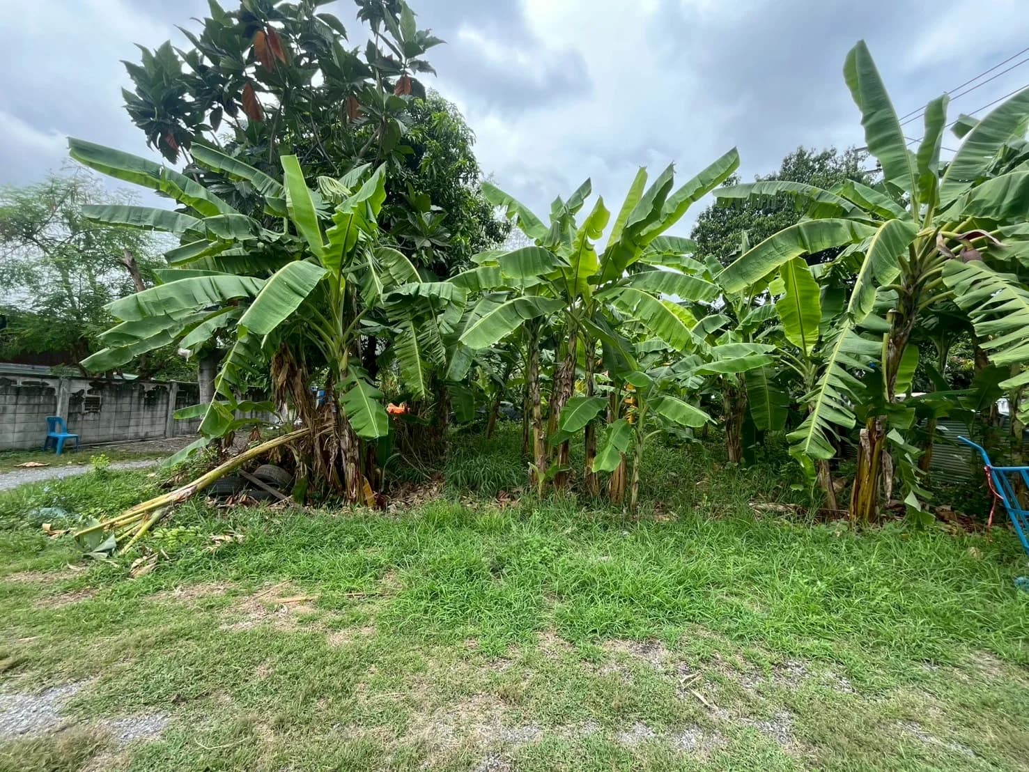 ขายที่ดินแปลงสวย ขนาด 265 ตารางวา บนถนนสิรินธรซอย 2 แยก 11 - image 2